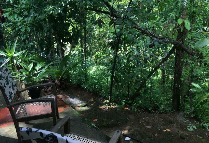 Стандартный Номер Кровать Кинг, Pilimathalawa Eco Lodge And Hostel