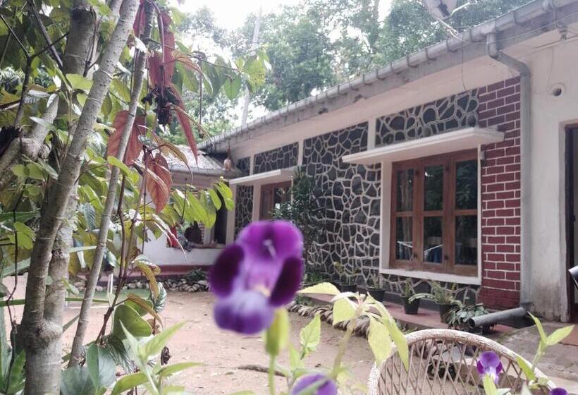 Стандартный Номер Кровать Кинг, Pilimathalawa Eco Lodge And Hostel