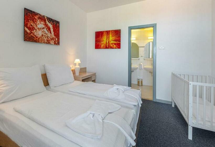 スタンダードルーム, Zsóry Liget Vendégház