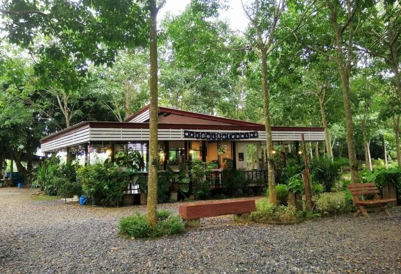 Бунгало Superior, Sameikei Homestay
