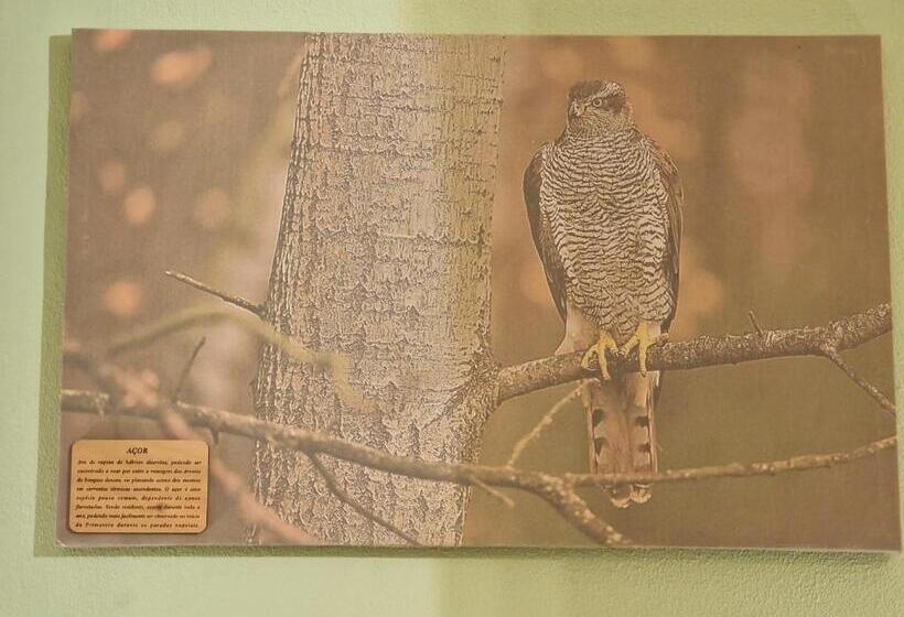 ファミリールーム, D Aqui E D Acolá Pardieiros