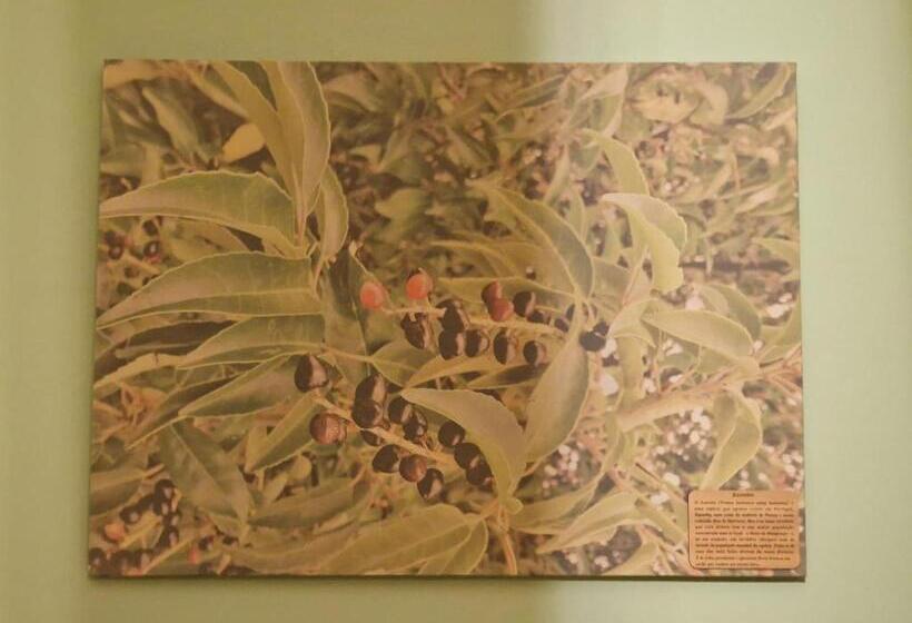 ファミリールーム, D Aqui E D Acolá Pardieiros