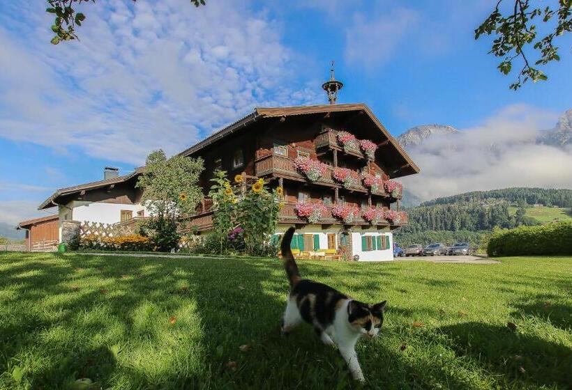 스탠다드 룸, Hainzbauer