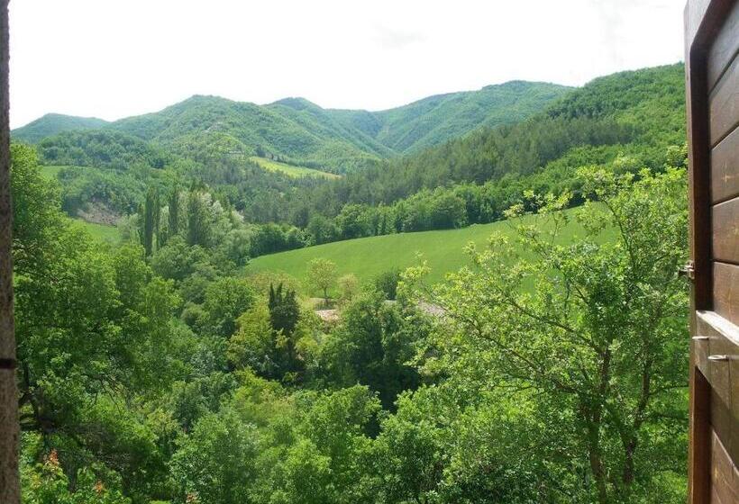 Четырехместный Номер Стандарт, Agriturismo Orsaiola