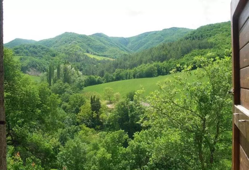 Standard Neljän Hengen Huone, Agriturismo Orsaiola