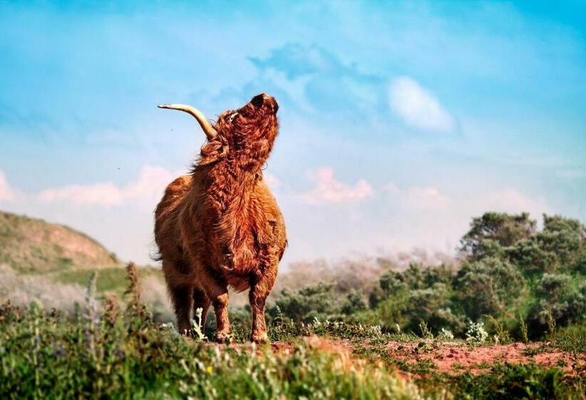 디럭스 룸, Fletcher Hotel Restaurant Teugel Uden Veghel