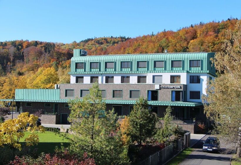 Standard Szoba 2 Franciaággyal, Bartoš