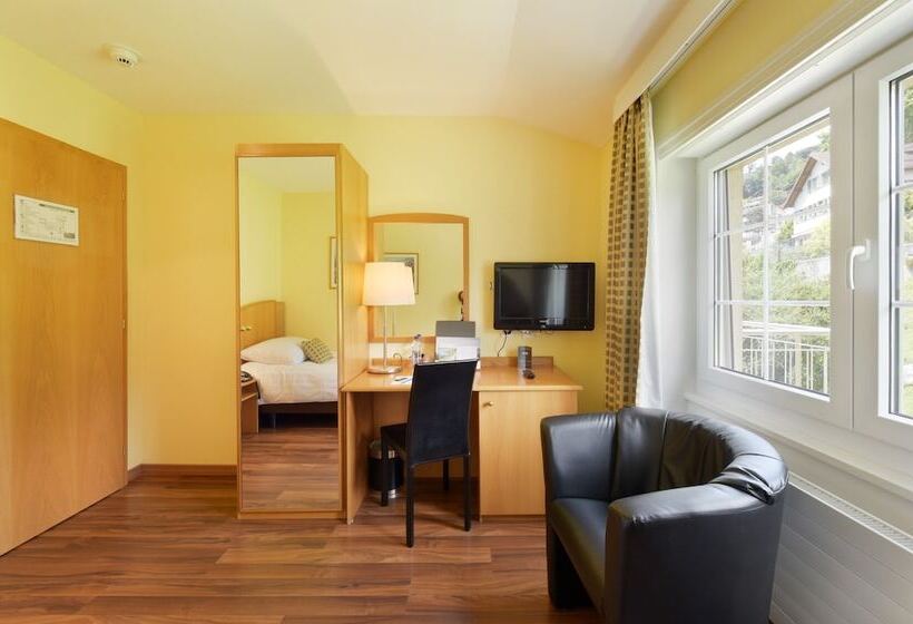 标准单人间, Du Léman   Jongny