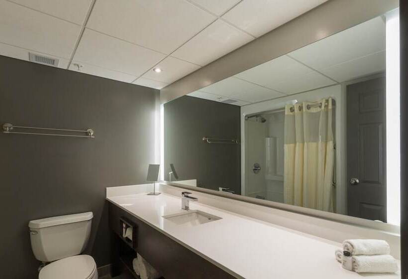 غرفة سوبيريور, Hôtel & Suites Normandin Lévis