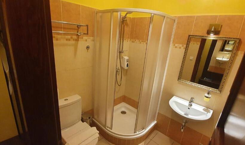 带观景的高级间, Karlštejn & Spa