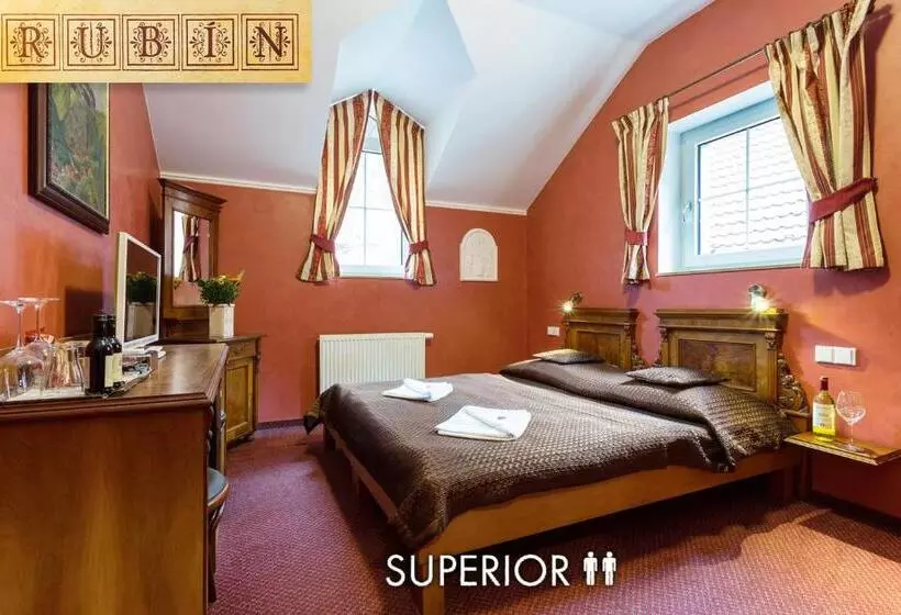 景色の見えるスーペリアルーム, Karlštejn & Spa