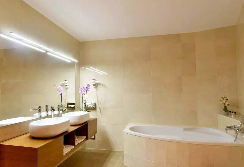 景色の見えるスイートルーム, Baron Tavernier Hotel Restaurant & Spa