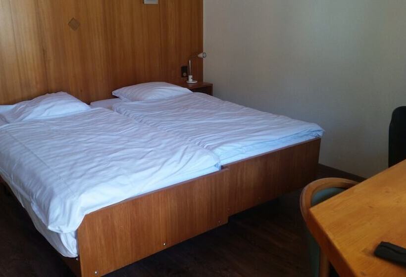 标准间, Motel Des Sports Martigny