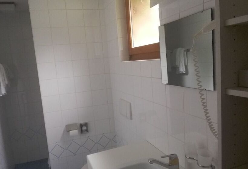 Номер Стандарт Индивидуальный, Motel Des Sports Martigny