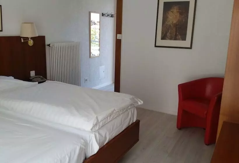 スタンダードシングルルーム, Motel Des Sports Martigny