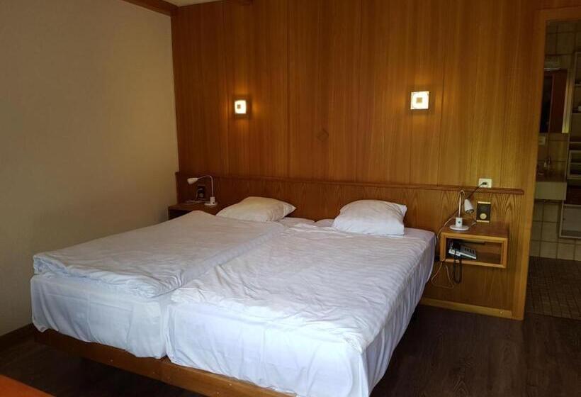 Номер Стандарт, Motel Des Sports Martigny