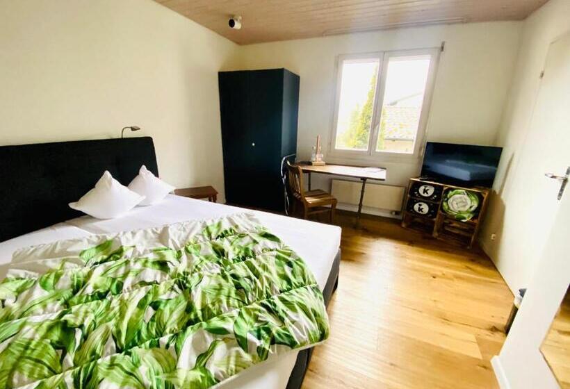 Номер Deluxe, Gasthof Kreuz Egerkingen