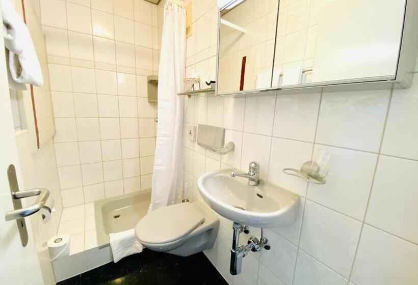 Deluxe Værelse, Gasthof Kreuz Egerkingen