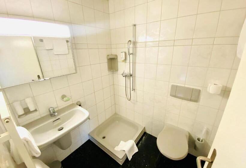 Standard Værelse, Gasthof Kreuz Egerkingen