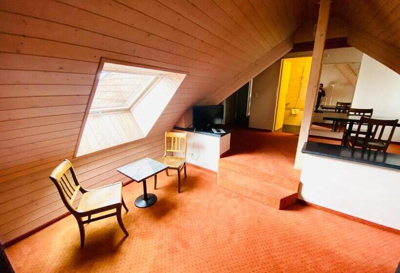 Standard Studio, Gasthof Kreuz Egerkingen