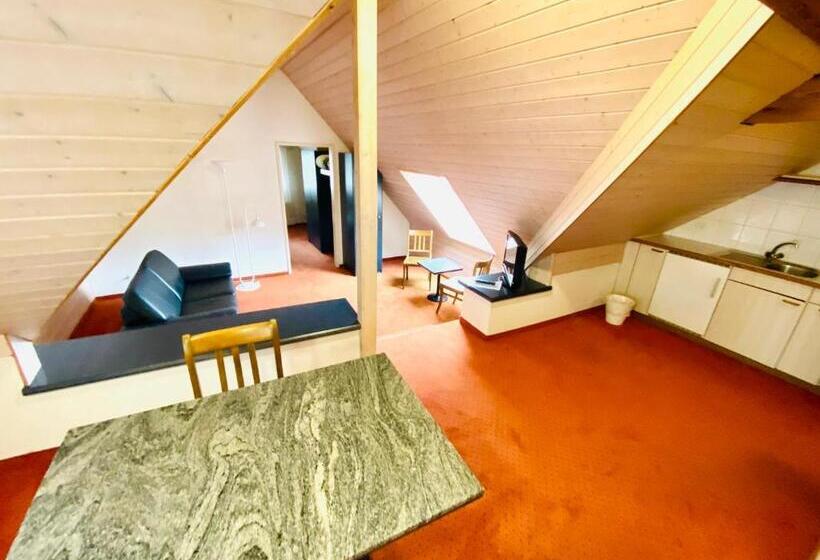 Standard Studio, Gasthof Kreuz Egerkingen