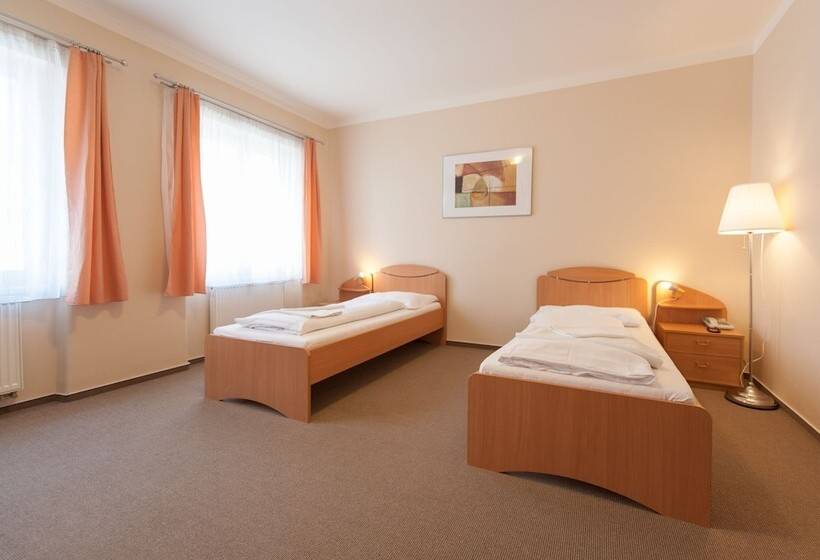 חדר סטנדרט יחיד, V Centru