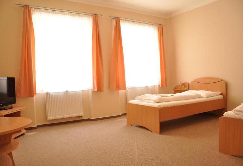 חדר סטנדרט יחיד, V Centru