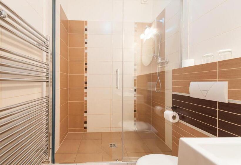 חדר סטנדרט יחיד, V Centru