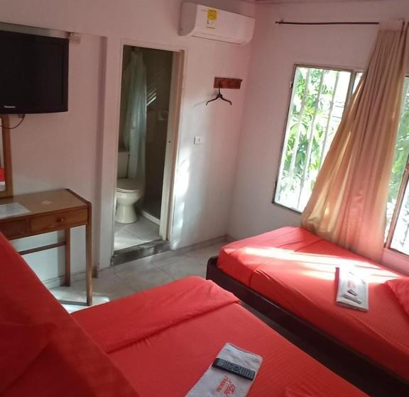 חדר קלאסי לארבעה, Panorama Neiva