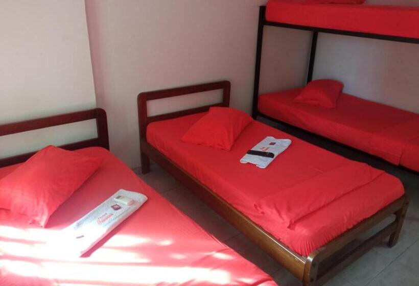 חדר קלאסי לארבעה, Panorama Neiva