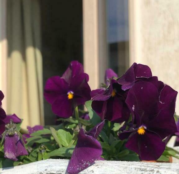 דירת חדר דלוקס, Zerostuni Suite Apartment