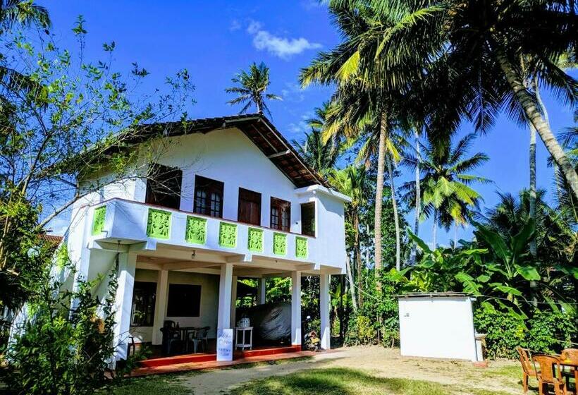 스탠다드 룸, Tropical Point Inn