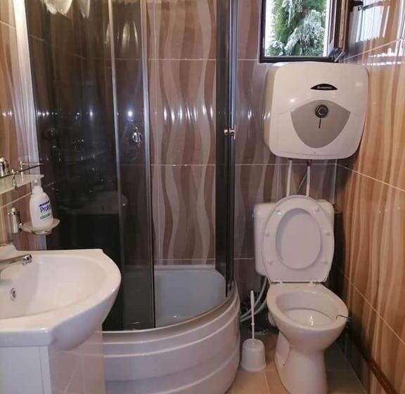 غرفة قياسية, Pensiunea Casa Andreea   Bârsana Maramureș