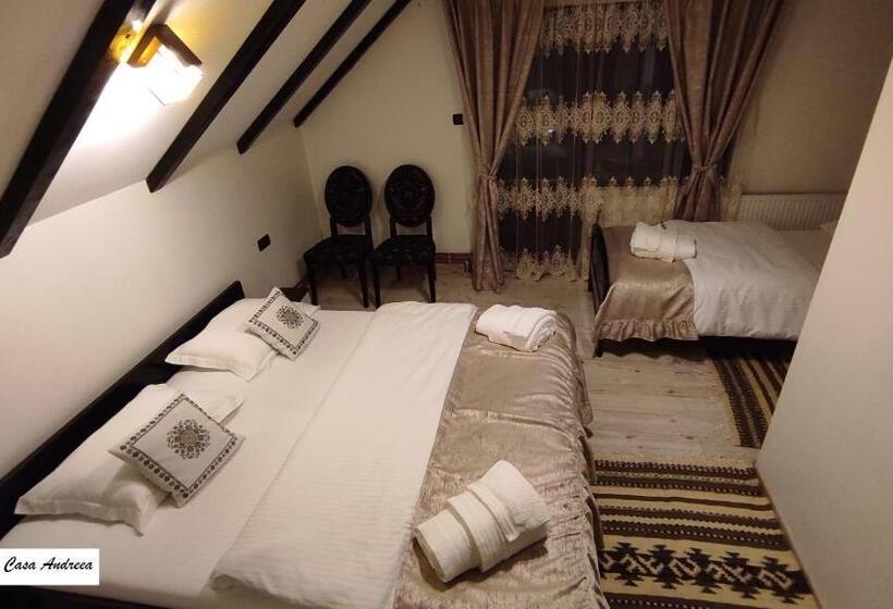 غرفة قياسية ثلاثية مطلة علي الحديقة, Pensiunea Casa Andreea   Bârsana Maramureș