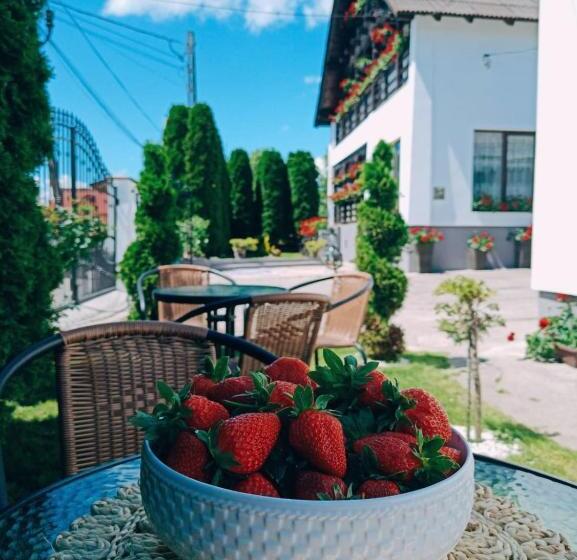 ‫فيلا غرفة نوم واحدة, Pensiunea Casa Andreea   Bârsana Maramureș