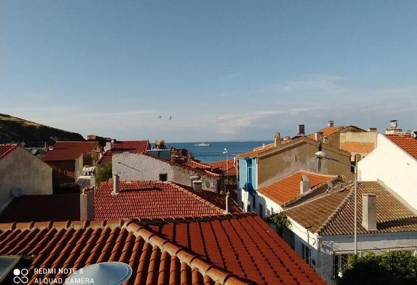 اتاق استاندارد با تراس, Dionysos Otel & Restoran & Ada Kahvaltı