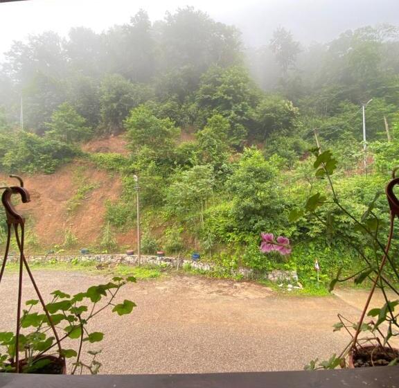اتاق استاندارد چهار تخته, Şelale Konak Çavuş'un Yeri