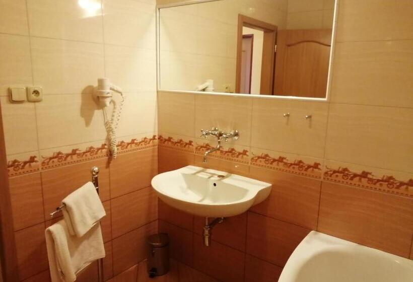 غرفة إقتصادية فردية, San