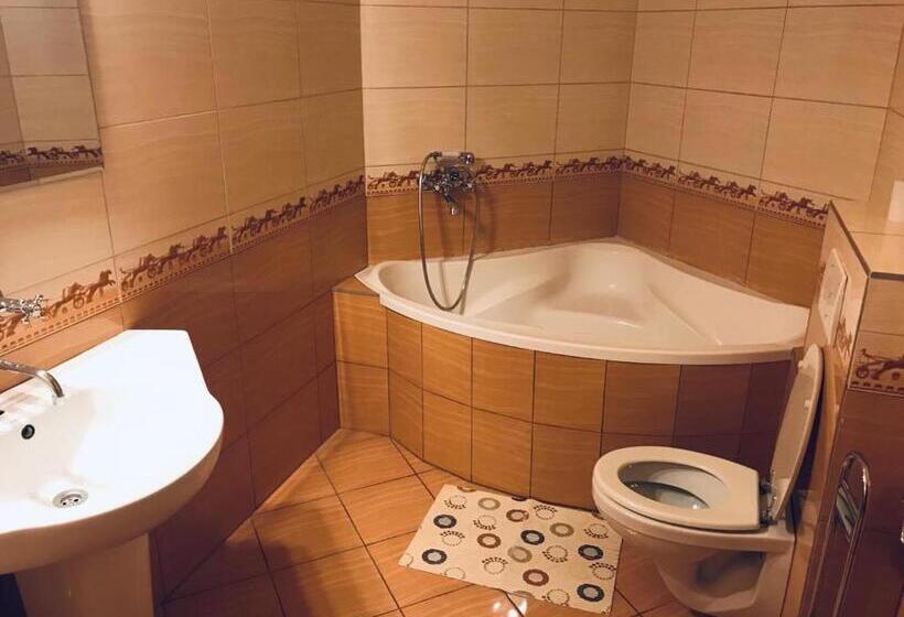 غرفة قياسية, San