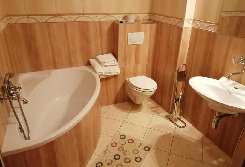 غرفة قياسية, San