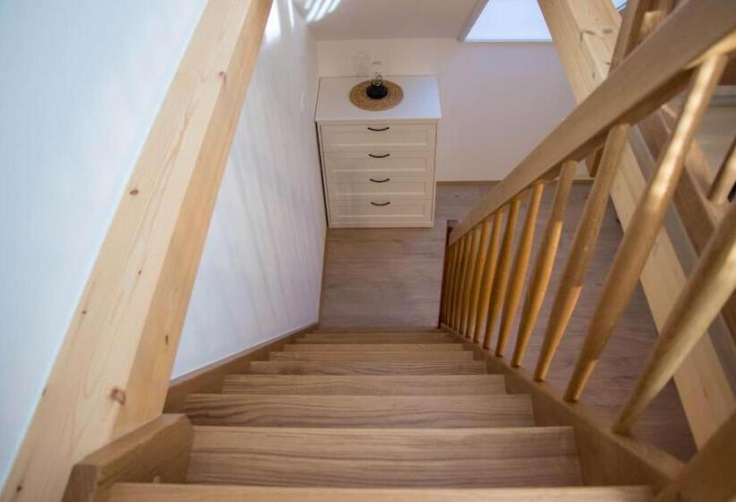 اتاق استاندارد, Rooms Močilnik