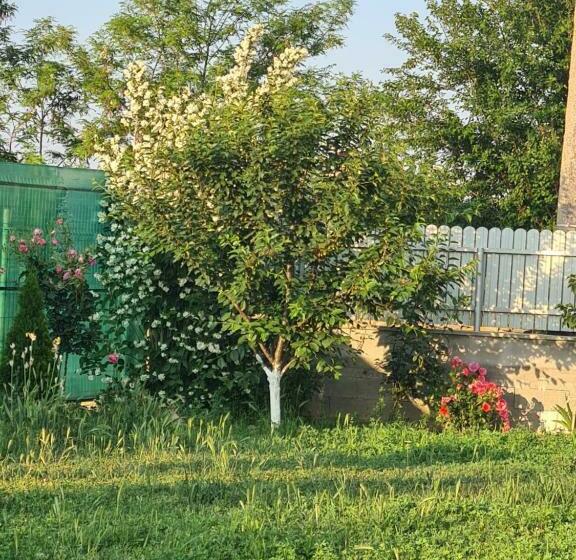 חדר סטנדרט עם מיטת קינג, Vadul Chiquita