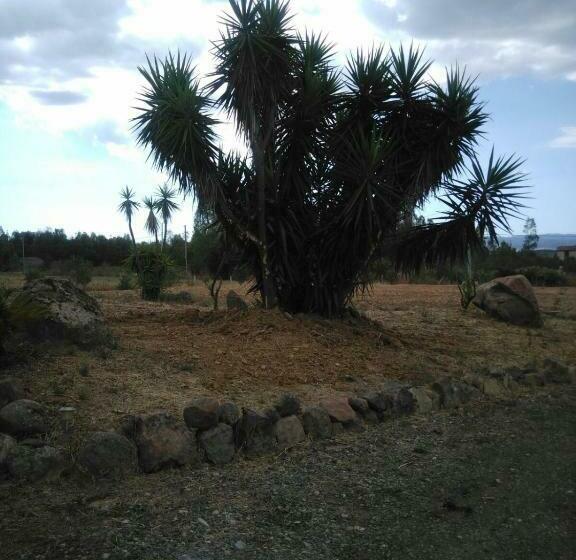 חדר דלוקס לארבעה, B&b Pan Di Zucchero
