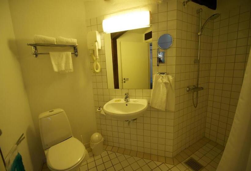 Номер Стандарт Индивидуальный, Benniksgaard