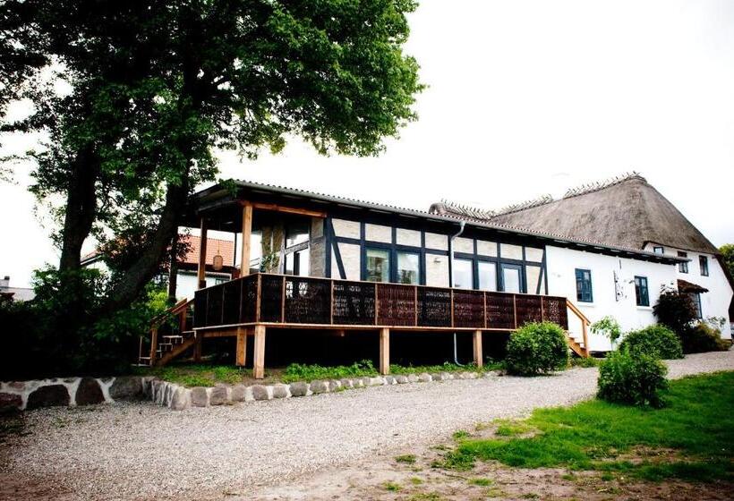 Люкс Executive Вид на Море, Benniksgaard