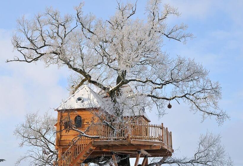 منزل غرفة نوم واحدة, Château De Labro   Teritoria