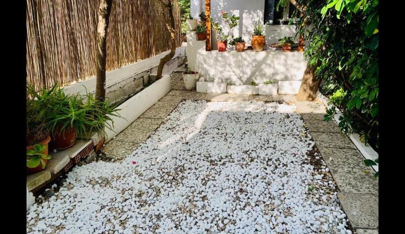 スタンダードシングルルーム, Semiramis Guesthouse