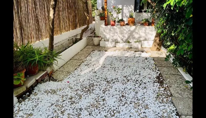 اتاق استاندارد یک نفره, Semiramis Guesthouse