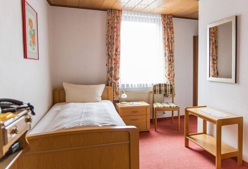 Номер Стандарт Индивидуальный, Sewenig