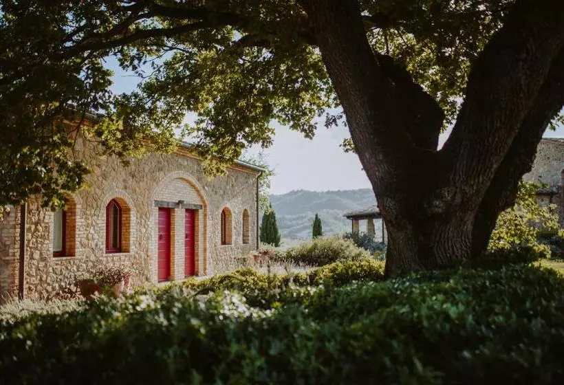 デラックスルーム, Tenuta Pianirossi